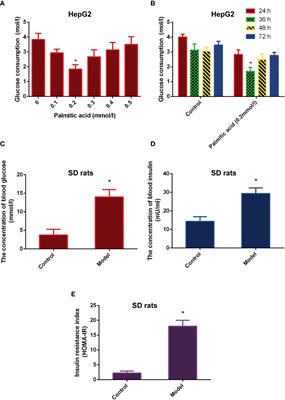 Skimmin Improves Insulin Resistance via Regulating the Metabolism of Glucose: In Vitro and In Vivo Models